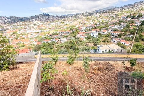 Villa i Sao Roque, Madeira, Sao Roque - € 850.000 | Ref: HH_2822MD26 - foto 25