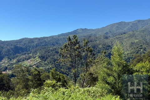 Helårsgrund i Santana, Madeira, Santana - € 75.000 | Ref: HH_2827MD26 - foto 2