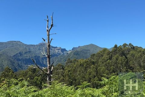 Helårsgrund i Santana, Madeira, Santana - € 75.000 | Ref: HH_2827MD26 - foto 4