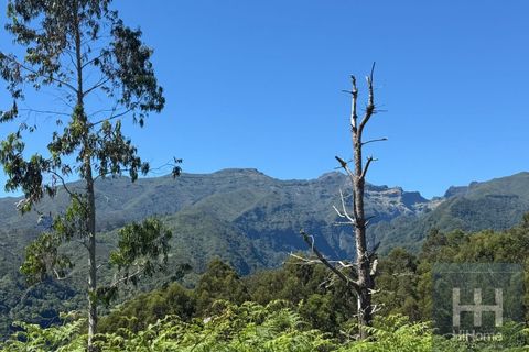 Helårsgrund i Santana, Madeira, Santana - € 75.000 | Ref: HH_2827MD26 - foto 7