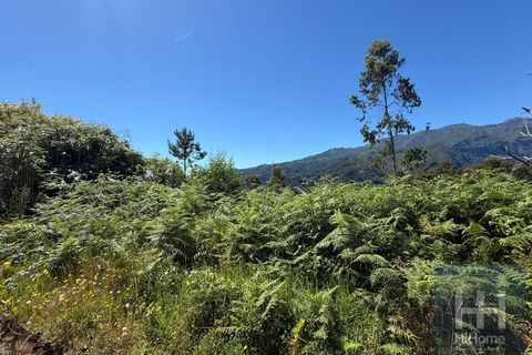 Helårsgrund i Santana, Madeira, Santana - € 75.000 | Ref: HH_2827MD26 - foto 8