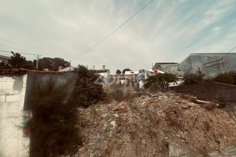 Terra a Antuzede e Vil de Matos, Coimbra, Antuzede e Vil de Matos - € 22.000 | Ref: ZMPT590433 - foto 3