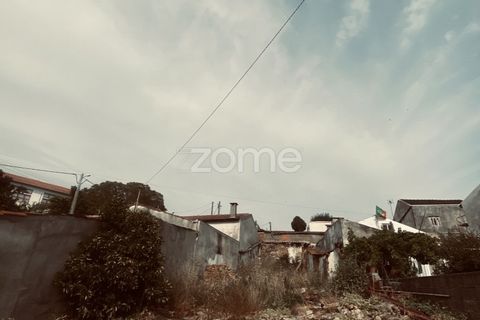 Terra a Antuzede e Vil de Matos, Coimbra, Antuzede e Vil de Matos - € 22.000 | Ref: ZMPT590433 - foto 5