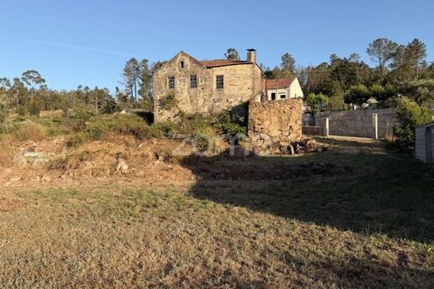 Villa a Penalva do Castelo, Viseu, Penalva do Castelo - € 66.500 | Ref: ZMPT590216 - foto 12