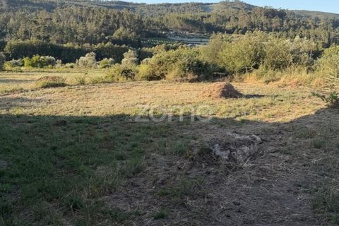 Villa a Penalva do Castelo, Viseu, Penalva do Castelo - € 66.500 | Ref: ZMPT590216 - foto 13