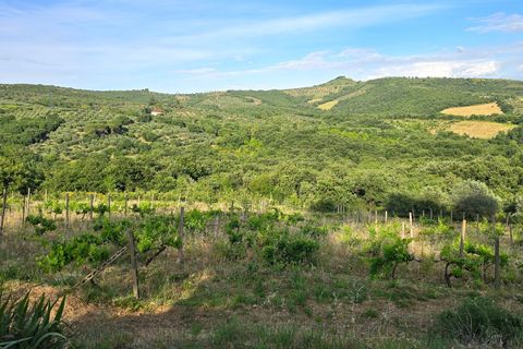 Villa i Panicale, Perugia, Panicale - € 860.000 | Ref: Panicale - foto 6