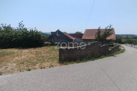 Villa i Soure, Coimbra, Soure - € 88.000 | Ref: ZMPT590350 - foto 17