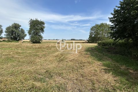 Villa i Steenwerck, Nord, Steenwerck - € 332.000 | Ref: estf49 - foto 8