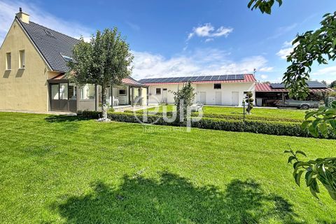 Villa i Hesdin, Pas-de-Calais, Hesdin - € 317.000 | Ref: hesf137 - foto 9