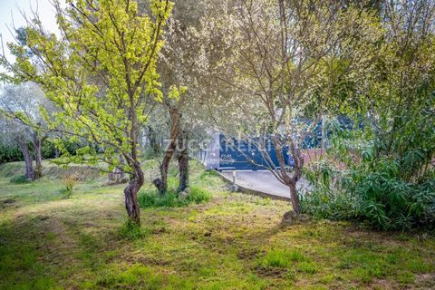 Villa i Contes, Alpes-Maritimes, Contes - € 895.000 | Ref: 82388553 - foto 36