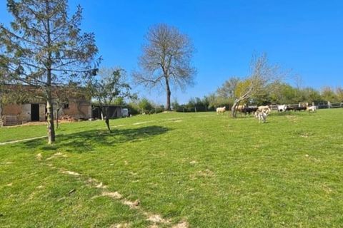 Villa i Les Oubeaux, Calvados, Les Oubeaux - € 368.000 | Ref: 830038690529 - foto 30