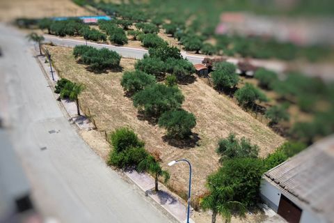 Grond in Calamonaci, Agrigento, Calamonaci - € 120.000 | Ref: T/229 - foto 2