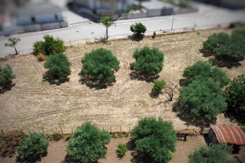 Grond in Calamonaci, Agrigento, Calamonaci - € 120.000 | Ref: T/229 - foto 4