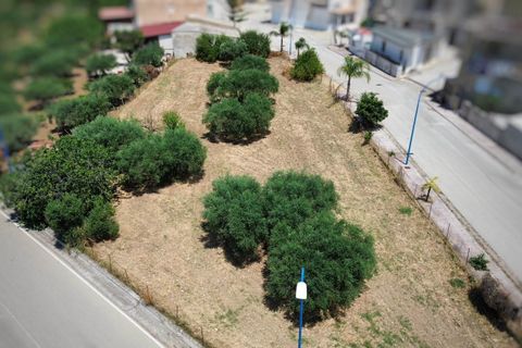 Grond in Calamonaci, Agrigento, Calamonaci - € 120.000 | Ref: T/229 - foto 6