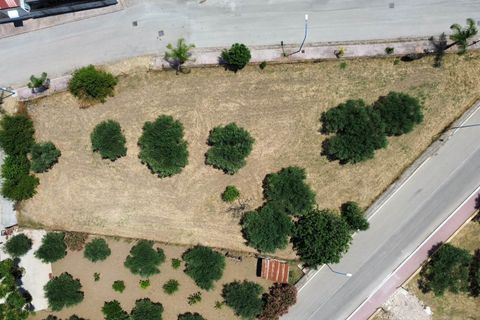 Grond in Calamonaci, Agrigento, Calamonaci - € 120.000 | Ref: T/229 - foto 8