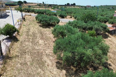 Grond in Calamonaci, Agrigento, Calamonaci - € 120.000 | Ref: T/229 - foto 9