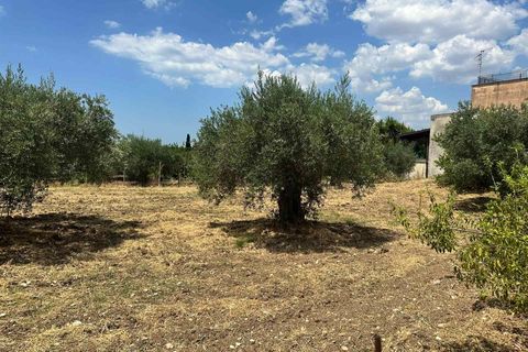 Grond in Calamonaci, Agrigento, Calamonaci - € 120.000 | Ref: T/229 - foto 10