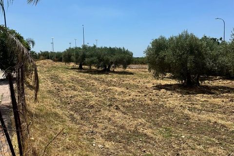 Grond in Calamonaci, Agrigento, Calamonaci - € 120.000 | Ref: T/229 - foto 11
