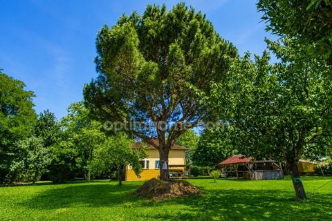 Villa i Muret, Haute-Garonne, Muret - € 650 000 | Ref: 830039550767 - foto 38