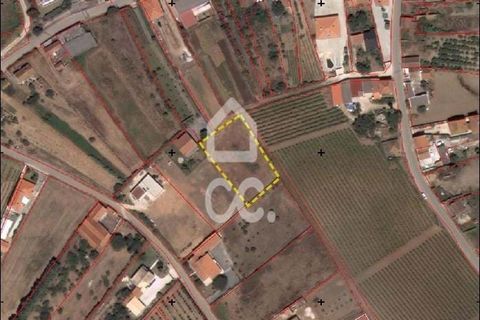 Helårsgrund i Carvalhal, Leiria, Carvalhal - € 66.500 | Ref: 321/T/01275 - foto 12