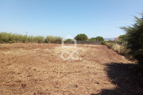 Helårsgrund i Carvalhal, Leiria, Carvalhal - € 66.500 | Ref: 321/T/01275 - foto 2
