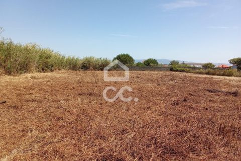 Helårsgrund i Carvalhal, Leiria, Carvalhal - € 66.500 | Ref: 321/T/01275 - foto 3