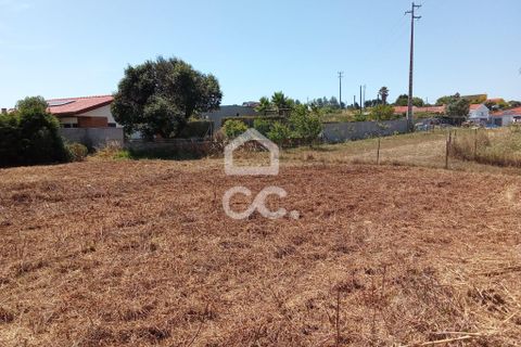 Helårsgrund i Carvalhal, Leiria, Carvalhal - € 66.500 | Ref: 321/T/01275 - foto 4