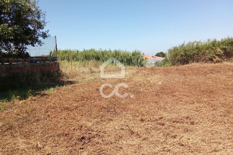 Helårsgrund i Carvalhal, Leiria, Carvalhal - € 66.500 | Ref: 321/T/01275 - foto 5