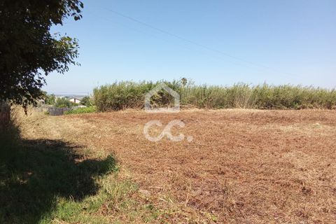 Helårsgrund i Carvalhal, Leiria, Carvalhal - € 66.500 | Ref: 321/T/01275 - foto 6