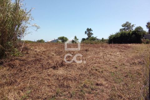Helårsgrund i Carvalhal, Leiria, Carvalhal - € 66.500 | Ref: 321/T/01275 - foto 7
