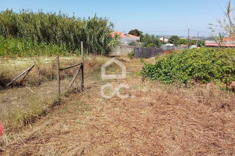 Helårsgrund i Carvalhal, Leiria, Carvalhal - € 66.500 | Ref: 321/T/01275 - foto 9