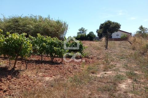 Helårsgrund i Carvalhal, Leiria, Carvalhal - € 66.500 | Ref: 321/T/01275 - foto 10