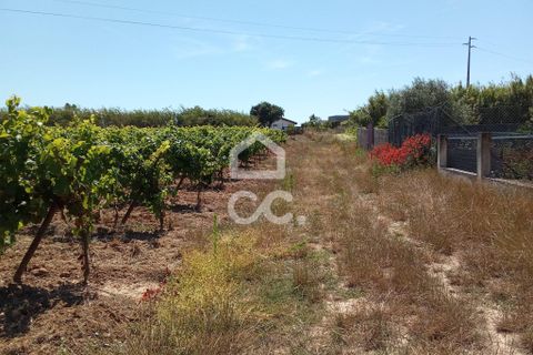 Helårsgrund i Carvalhal, Leiria, Carvalhal - € 66.500 | Ref: 321/T/01275 - foto 11