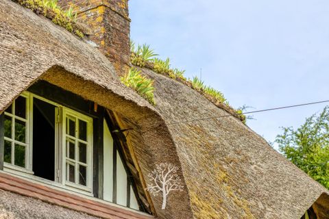 Villa a Angiens, Seine-Maritime, Angiens - € 260.000 | Ref: HLPP-S3Y-DBR - foto 12