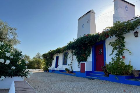 Villa in Evora, Evora, Evora - € 750/month | Ref: 2031 - photo 22