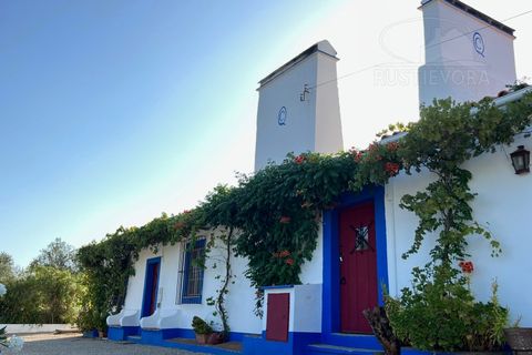 Villa in Evora, Evora, Evora - € 750/month | Ref: 2031 - photo 43