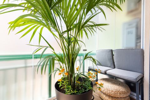 Lejlighed i Fuengirola, Malaga, Fuengirola - € 695.000 | Ref: R5368258 - foto 15