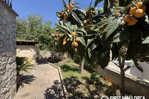 Villa i Mancor De La Vall, Mallorca, Mancor De La Vall - € 1.150.000 | Ref: 83701 - foto 28