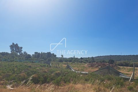 Villa i Alcantarilha, Faro, Alcantarilha - € 1.599.000 | Ref: TAPT01-1823_ILB - foto 23
