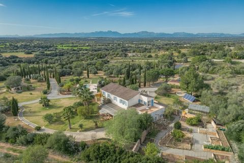 Landejendom i Manacor, Mallorca, Manacor - € 1.950.000 | Ref: 7857 - foto 15