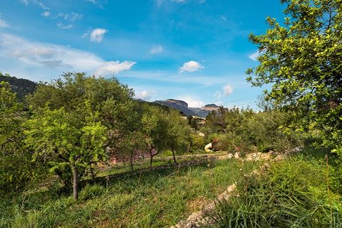 Landejendom i Alaro, Mallorca, Alaro - € 960.000 | Ref: 7148 - foto 18