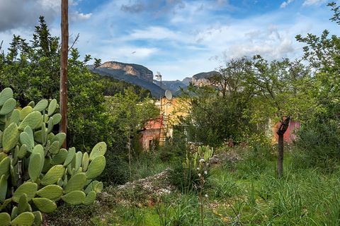 Landejendom i Alaro, Mallorca, Alaro - € 960.000 | Ref: 7148 - foto 19
