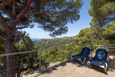Villa i Tossa De Mar, Gerona, Tossa De Mar - € 1 550 000 | Ref: 75318 - foto 45