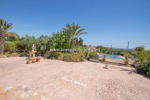 Landejendom i Albatera, Alicante, Albatera - € 349.000 | Ref: ALBA MSAlba-D - foto 19