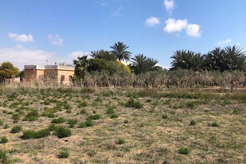Landejendom i Elche, Alicante, Elche - € 85.000 | Ref: F60/3390 - foto 5