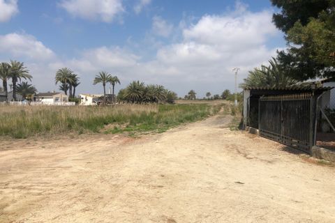 Landejendom i Elche, Alicante, Elche - € 85.000 | Ref: F60/3390 - foto 10