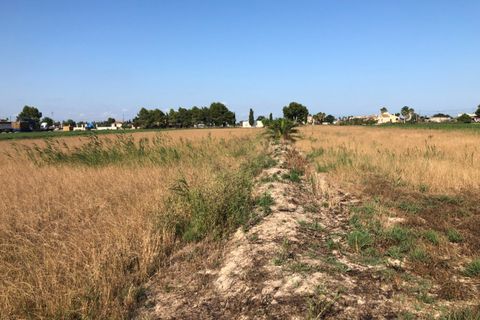 Helårsgrund i Dolores, Alicante, Dolores - € 84.900 | Ref: F62/3390 - foto 4