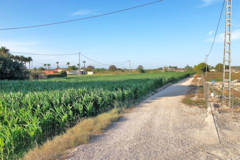 Helårsgrund i Dolores, Alicante, Dolores - € 74.900 | Ref: F63/3390 - foto 2