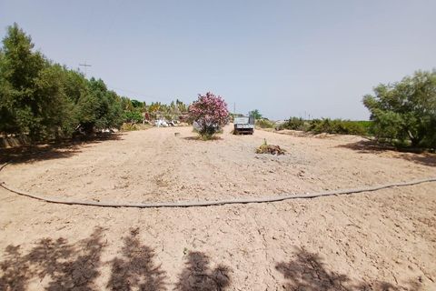 Landejendom i Albatera, Alicante, Albatera - € 359.900 | Ref: F110/3390 - foto 31