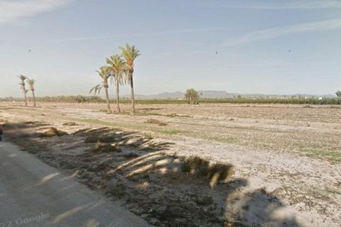 Terra a La Hoya, Alicante, La Hoya - € 35.000 | Ref: F113/3390 - foto 2